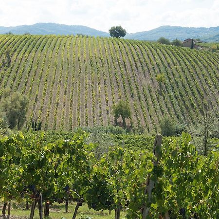 Casa Simona Apartment San Gimignano Ngoại thất bức ảnh