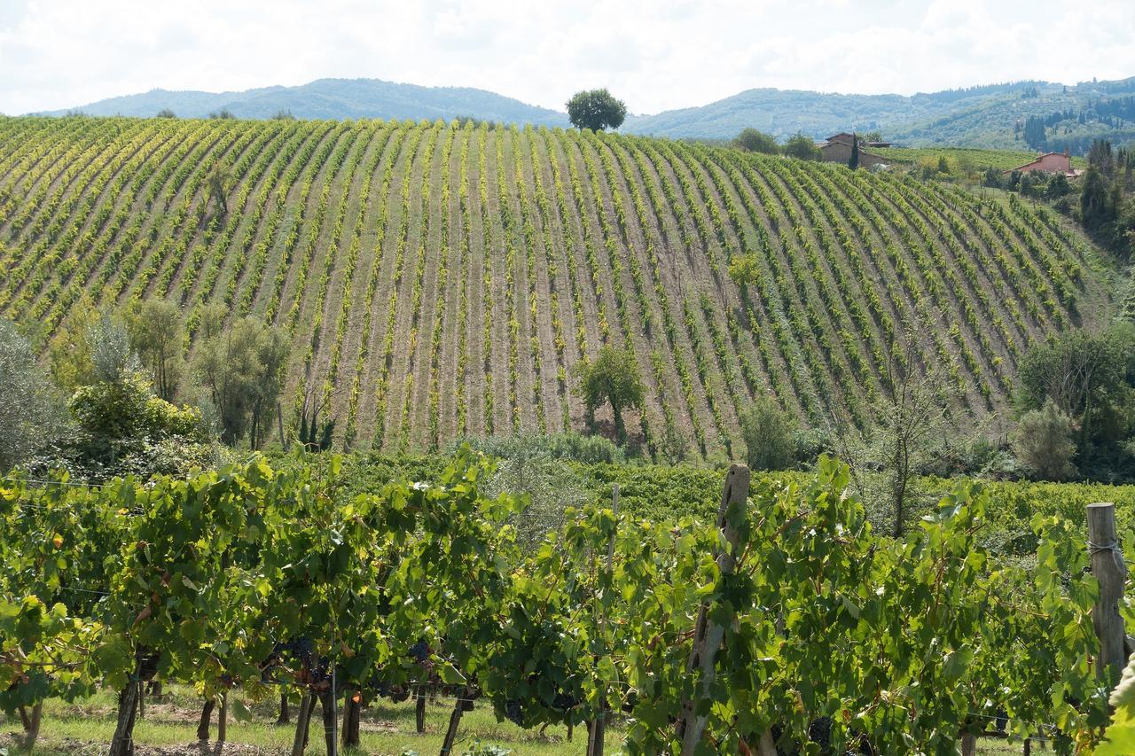 Casa Simona Apartment San Gimignano Ngoại thất bức ảnh